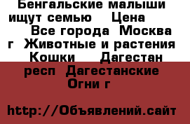 Бенгальские малыши ищут семью) › Цена ­ 5 500 - Все города, Москва г. Животные и растения » Кошки   . Дагестан респ.,Дагестанские Огни г.